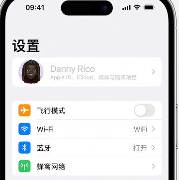 头屯河appleID维修服务iPhone设置中Apple ID显示为灰色无法使用 