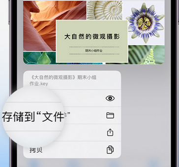 头屯河apple维修中心分享iPhone文件应用中存储和找到下载文件