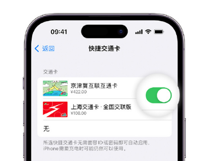 头屯河apple维修点分享iPhone上更换Apple Pay快捷交通卡手绘卡面 