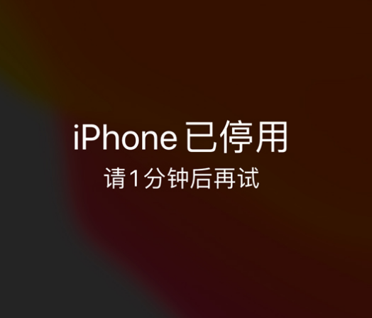 头屯河苹果手机维修分享:iPhone 显示“不可用”或“已停用”怎么办？还能保留数据吗？ 