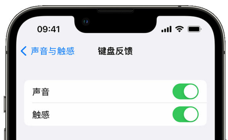 头屯河苹果手机维修分享iPhone 14触感键盘使用方法 