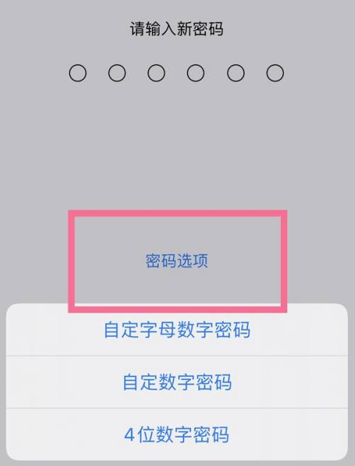 头屯河苹果14维修分享iPhone 14plus设置密码的方法 