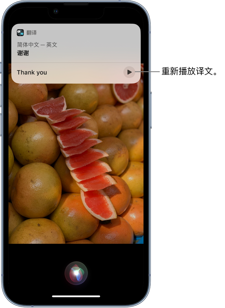 头屯河苹果14维修分享 iPhone 14 机型中使用 Siri：了解 Siri 能帮你做什么 