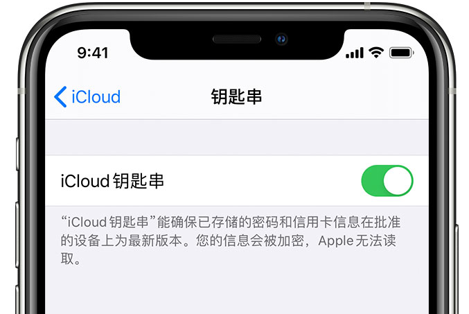 头屯河苹果手机维修分享在 iPhone 上开启 iCloud 钥匙串之后会储存哪些信息 